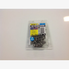 Screw 10mm X 25mm Phillips Head 304 Stainless Steel Pack